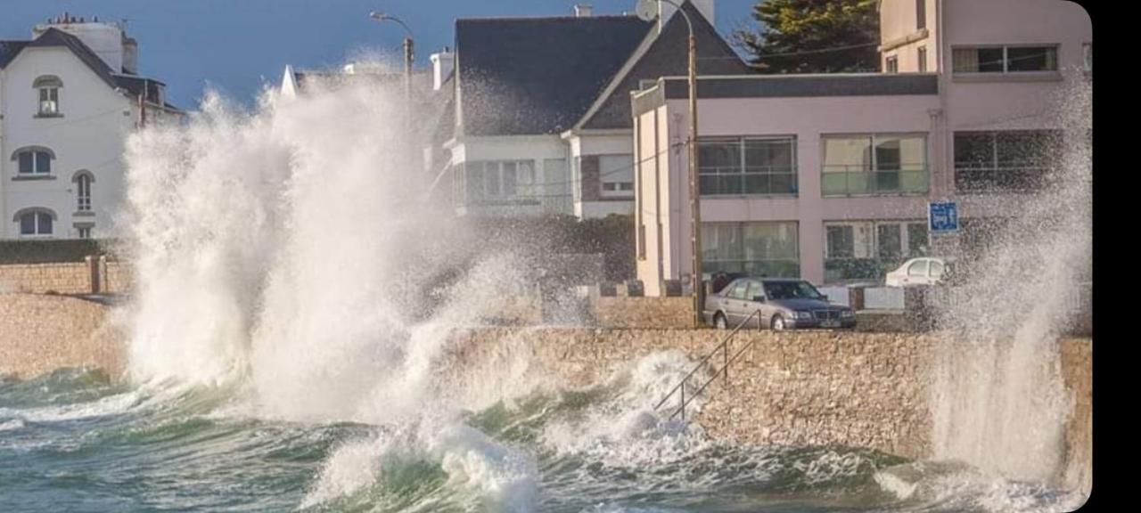 Studio Face A La Mer Concarneau Exteriör bild