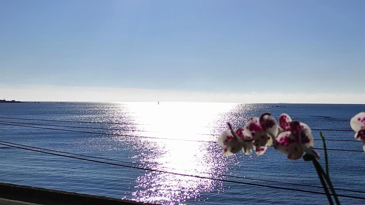 Studio Face A La Mer Concarneau Exteriör bild